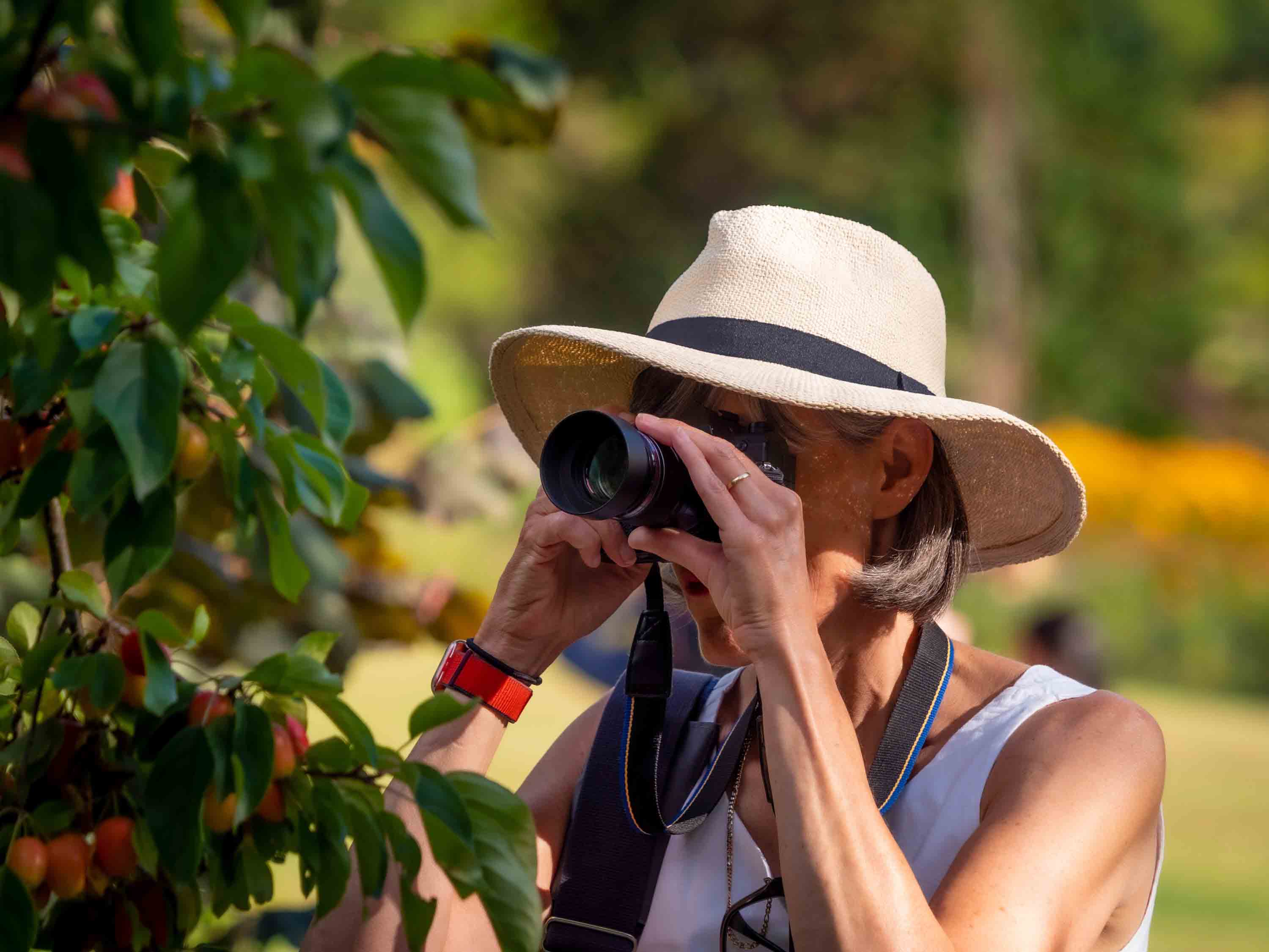 Photographer composing a shot in a garden — Master Your Photography online courses