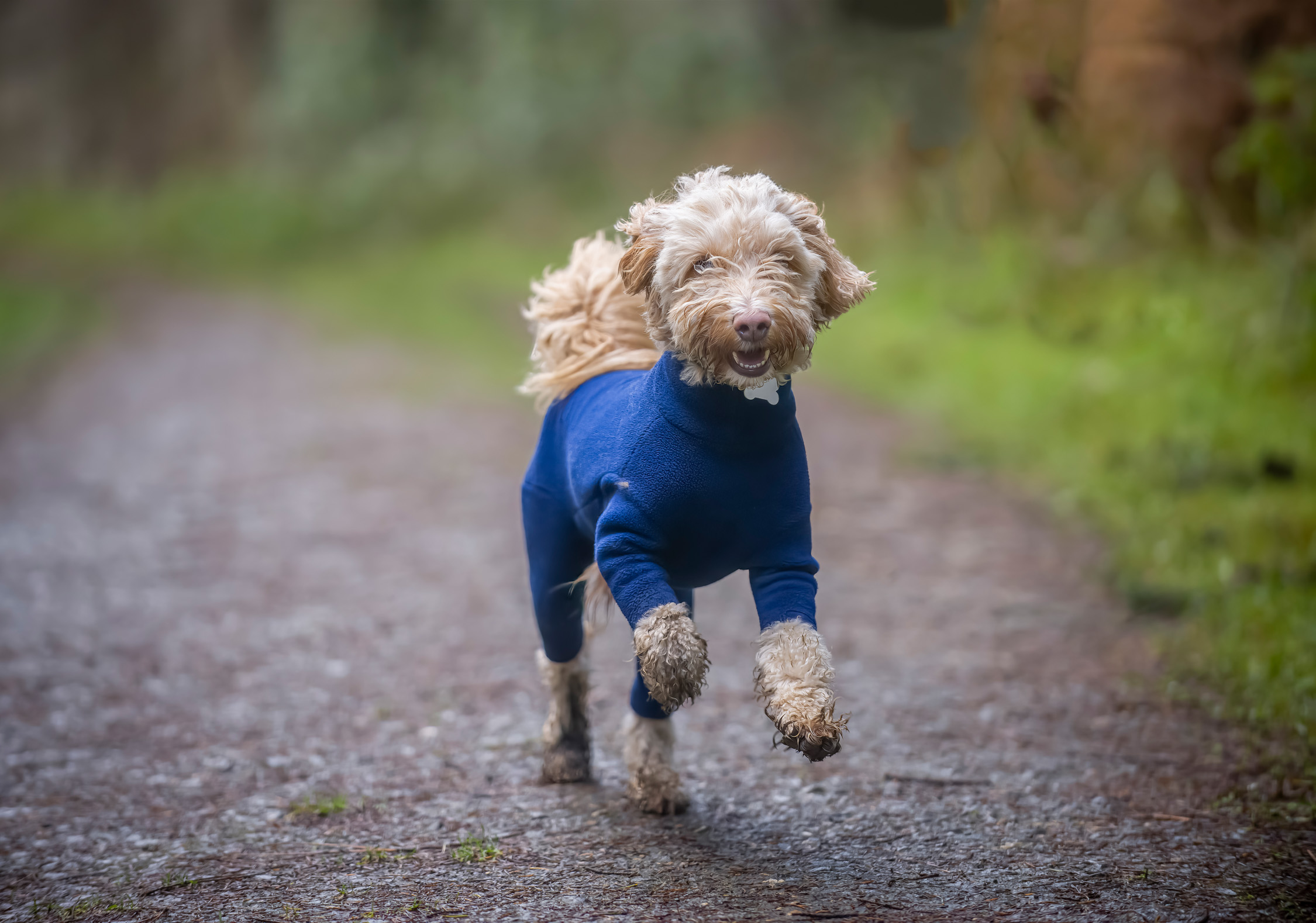 Blurred background enhancing the subject.