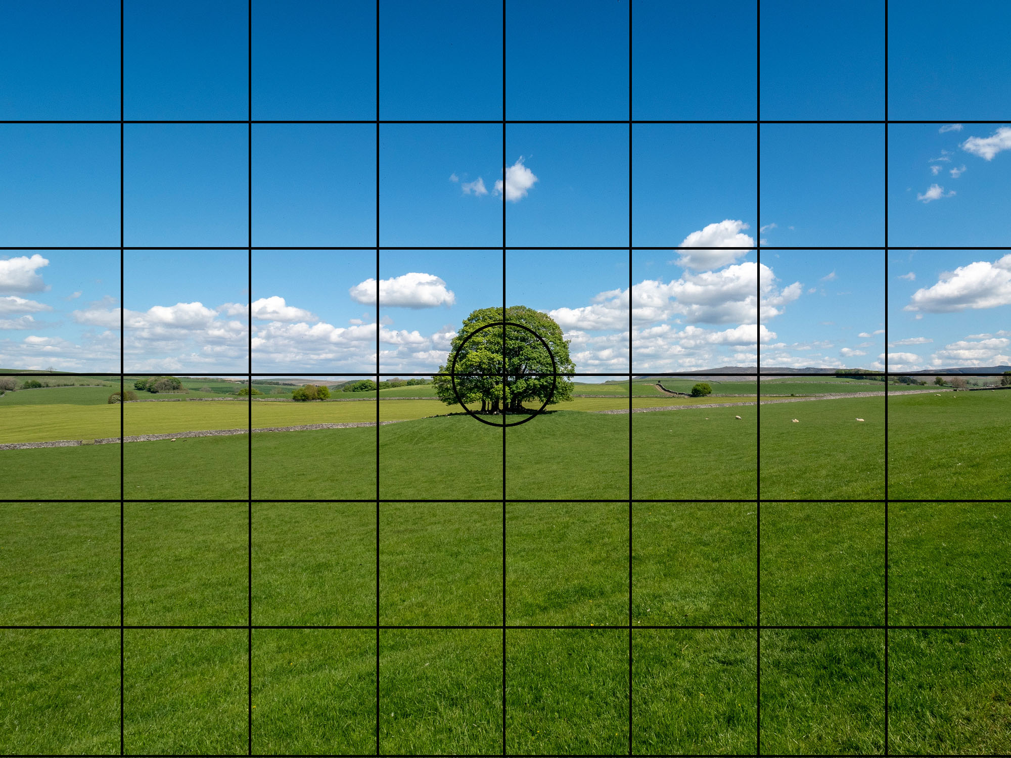 Using camera grid line to improve composition and enhance creativity.