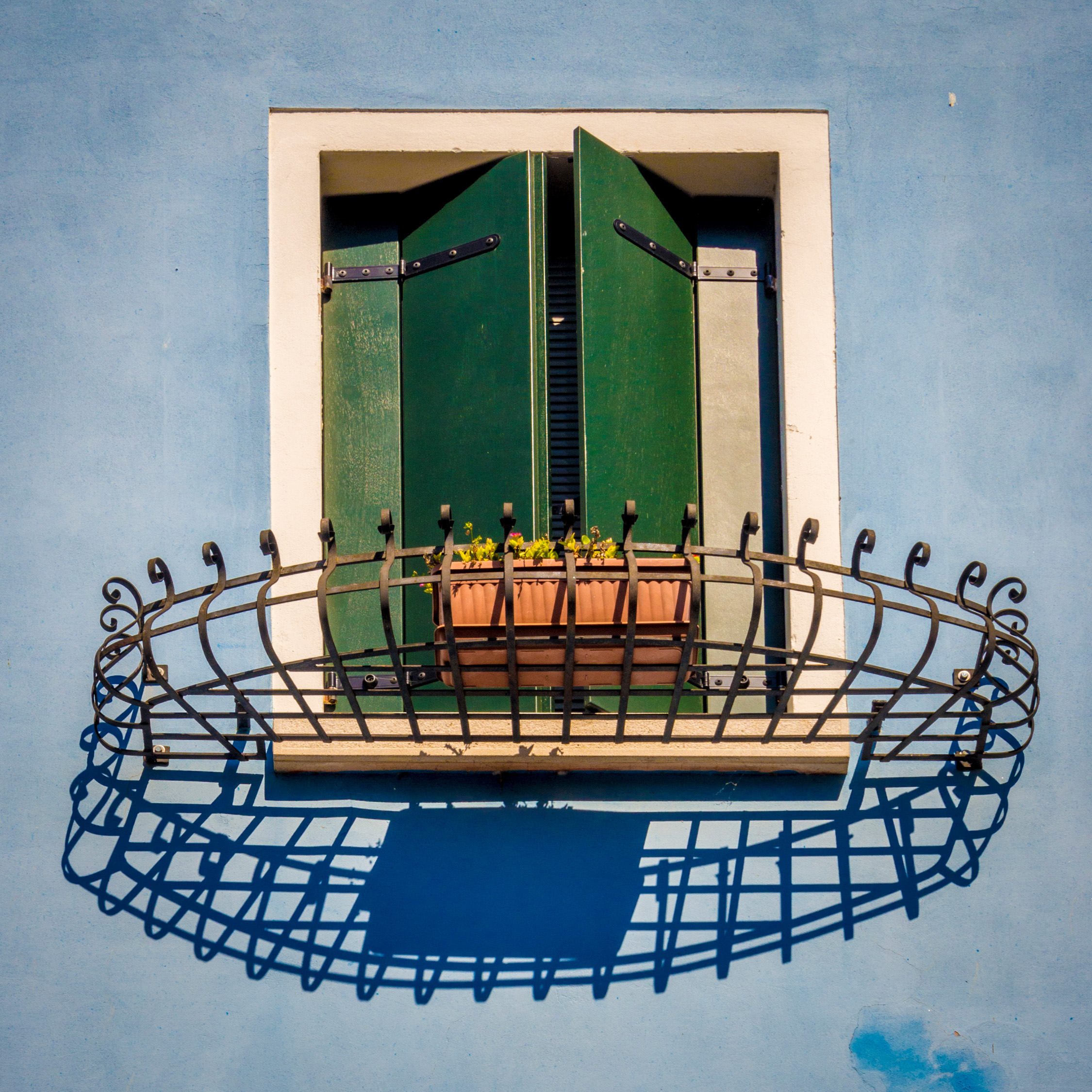 Filling the frame using a standard lens.