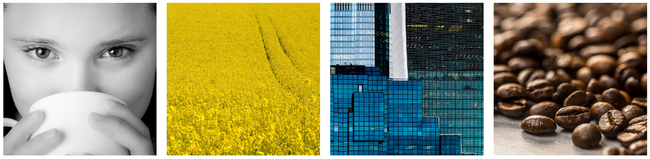 Demonstrating filling the frame with different lens.