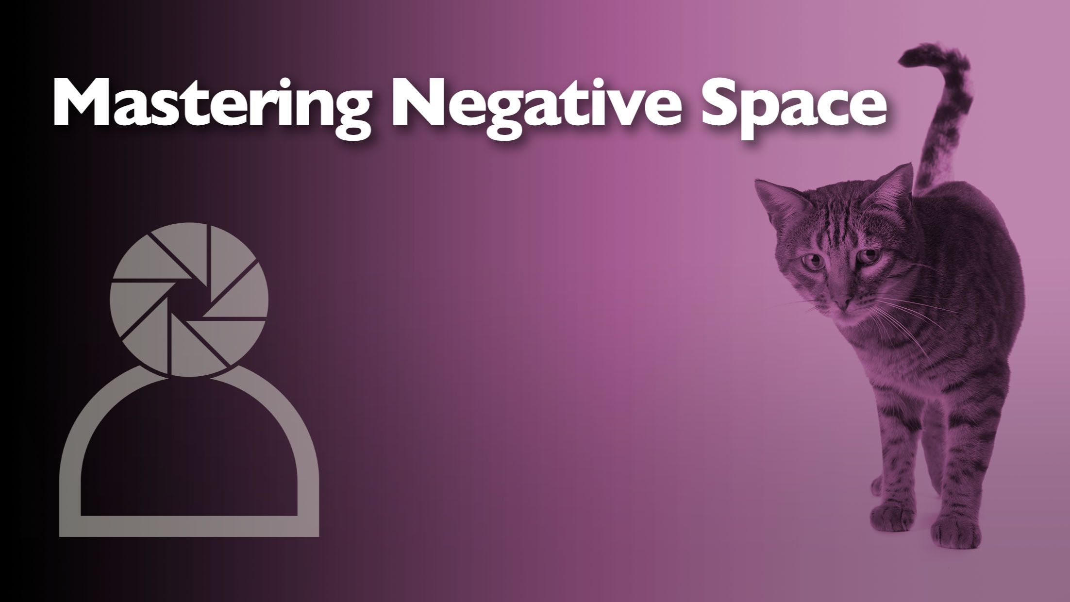 Header graphic for a photography blog post about mastering negative space in compositions.