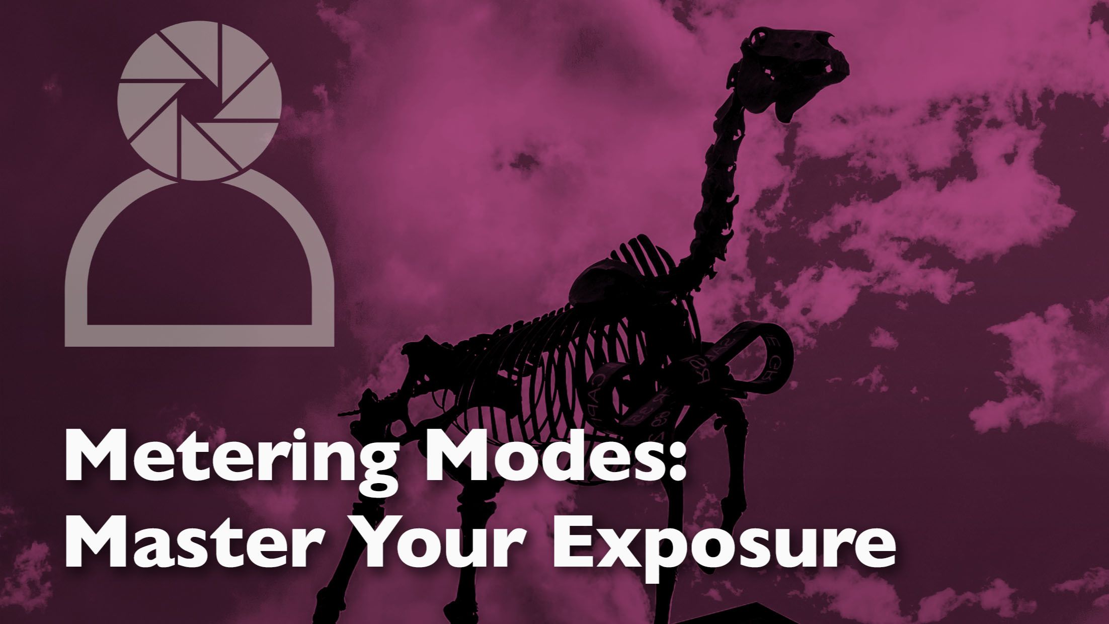 header graphic for a blog post about the different metering modes in cameras and how to use them