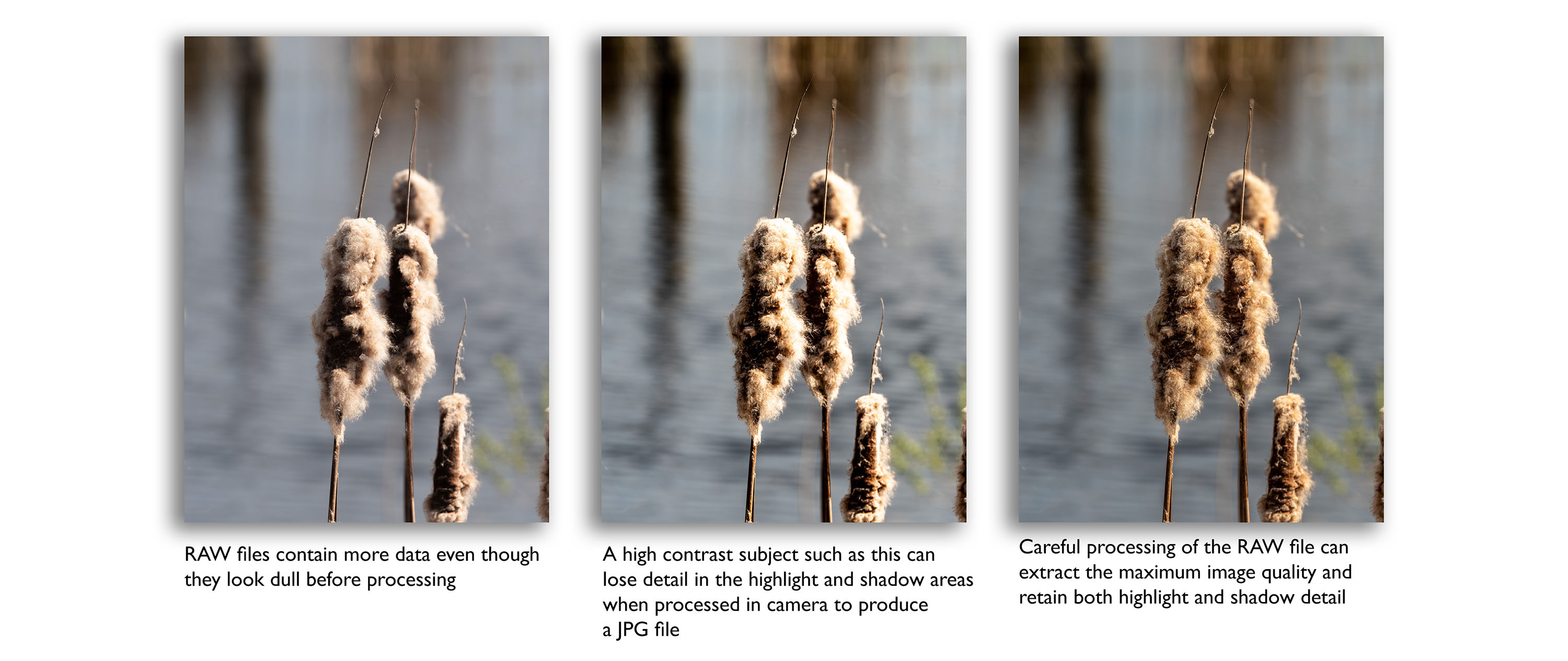 RAW file workflow example.