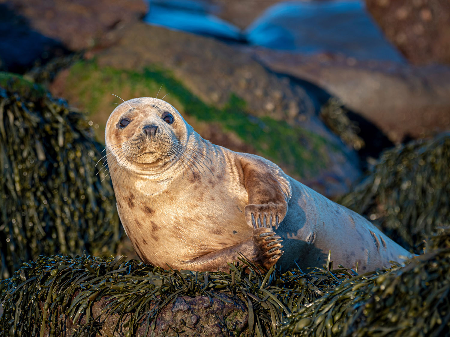 Camera Kickstart course photo