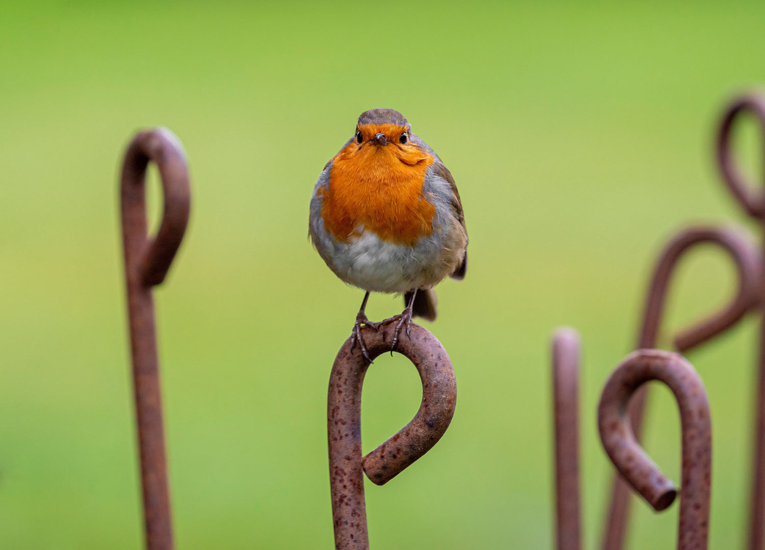 Camera Kickstart course photo