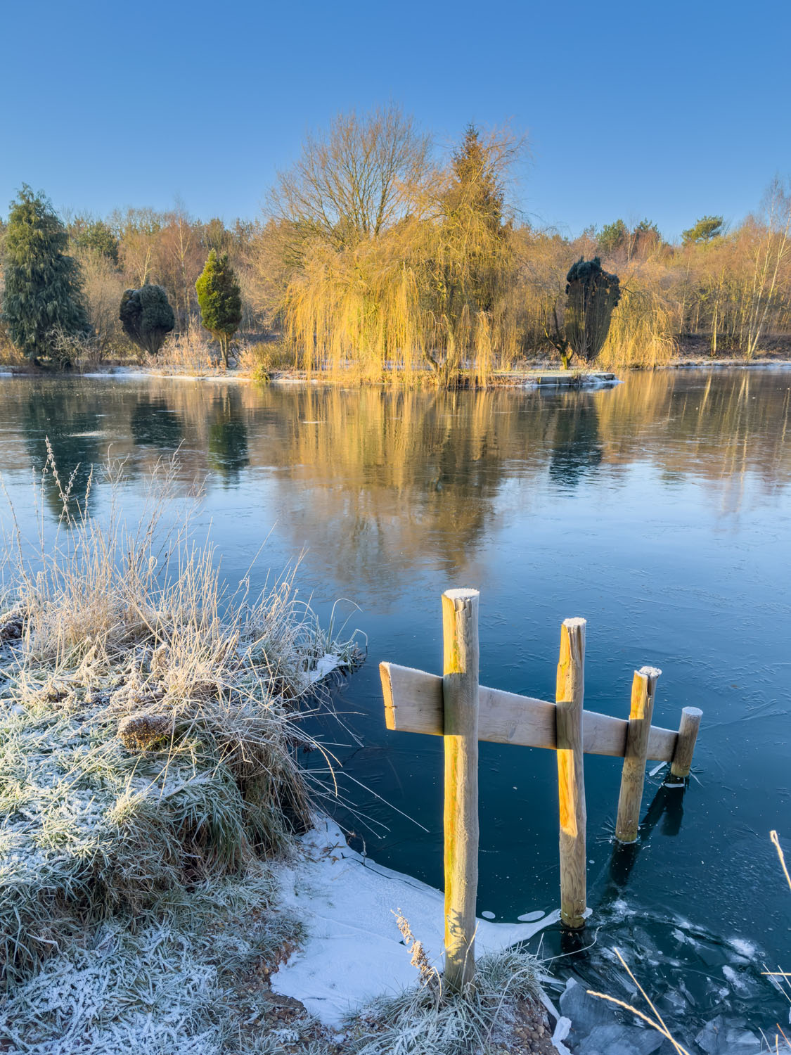 Master Your Mobile course photo