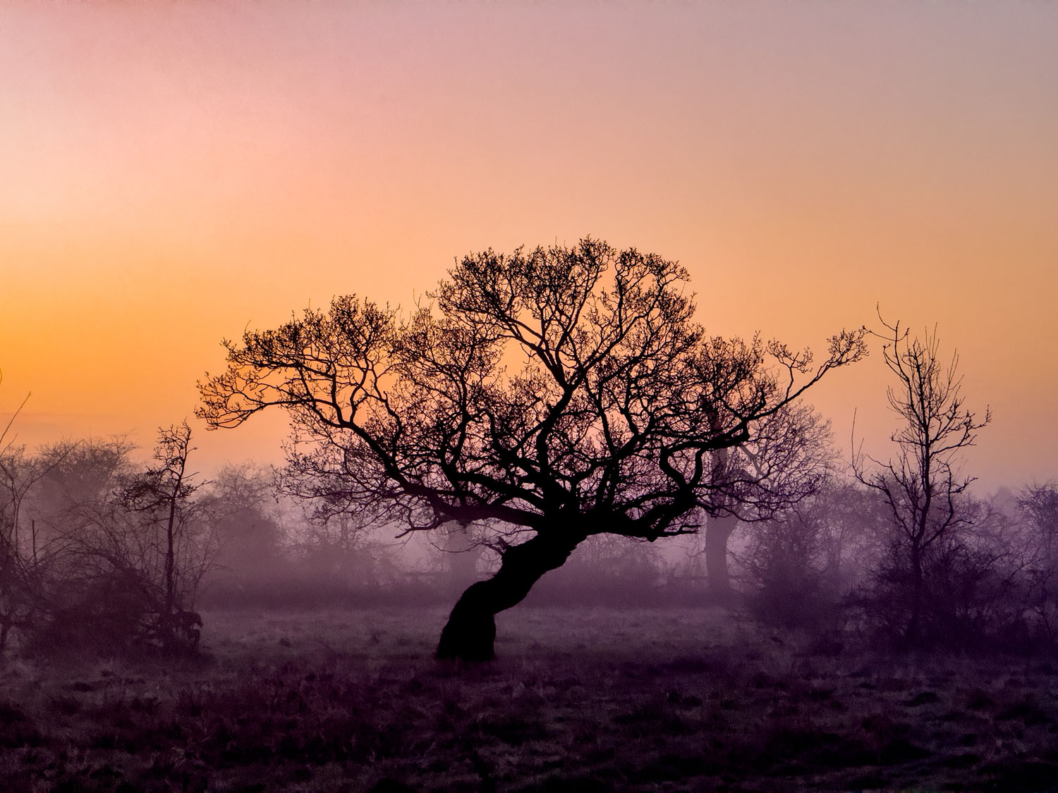 Master Your Mobile course photo