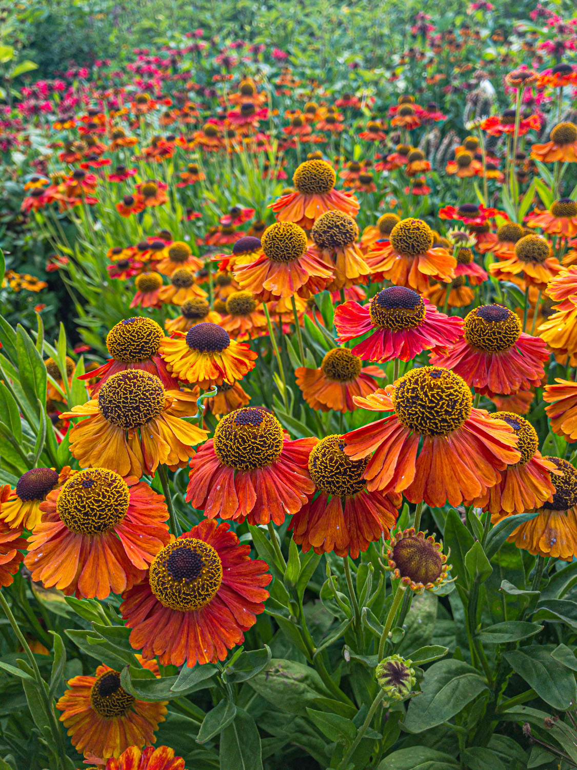 Master Your Mobile course photo