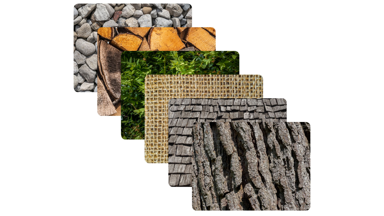 Organic Nature Textures – Bark